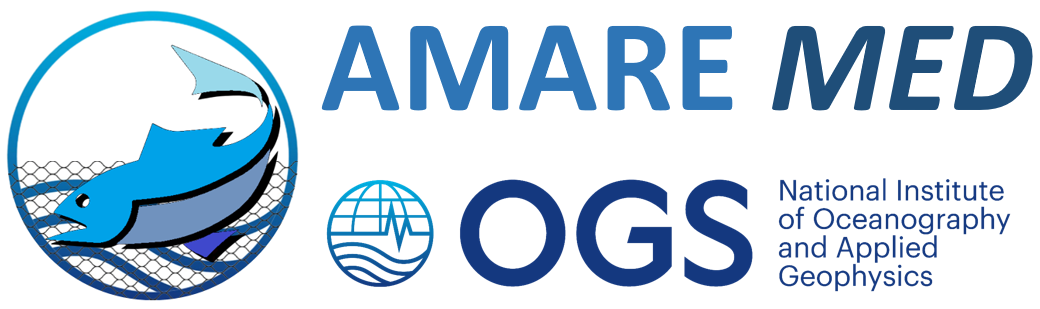 AMARE-MED 2024