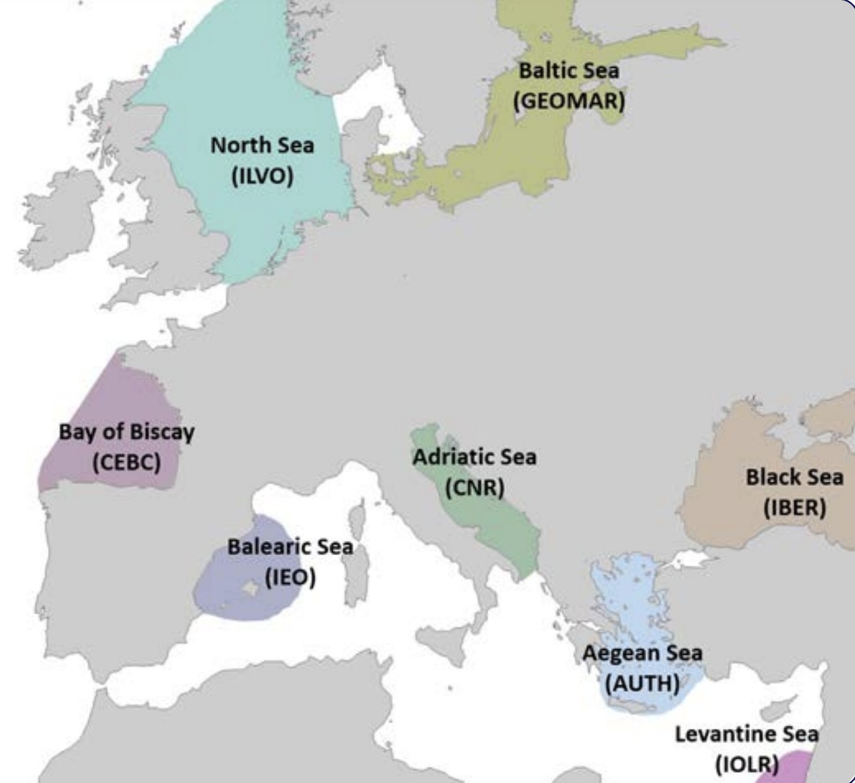 Focus on EcoScope Models: The Israeli EEZ ecosystem model